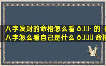 八字发财的命格怎么看 🌷 的（八字怎么看自己是什么 🐘 命格）